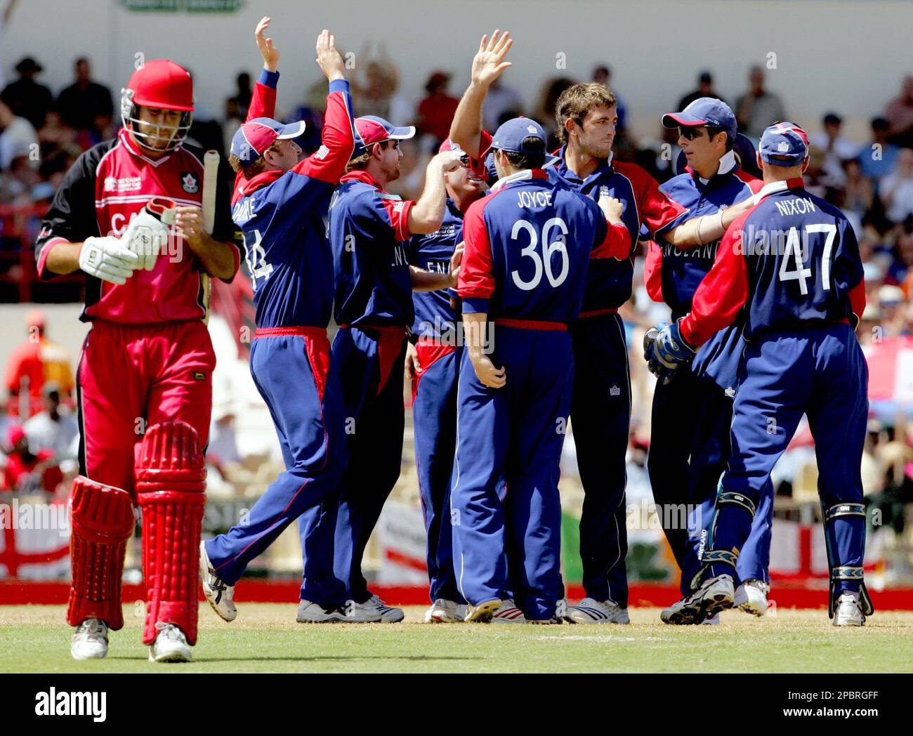 England bowler Liam Plunkett, third right, celebrates with his teammates after clean bowling Canada's Geoff Barnett, left, during their Group C Cricket World Cup match at the Beausejour Stadium in Gros Islet, St Lucia, Sunday, March 18, 2007. (AP Photo/Matt Dunham) Stockfoto