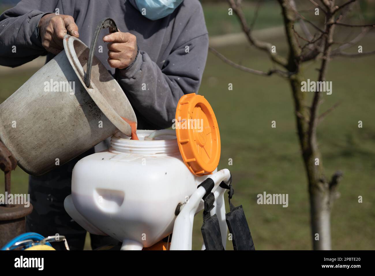 Der Bauer gießt Flüssigkeit in den Tank eines Sprühgeräts, um Obstbäume zu besprühen. Nahaufnahme einer giftigen Flüssigkeit, die aus einem Eimer in den Tank gegossen wird Stockfoto