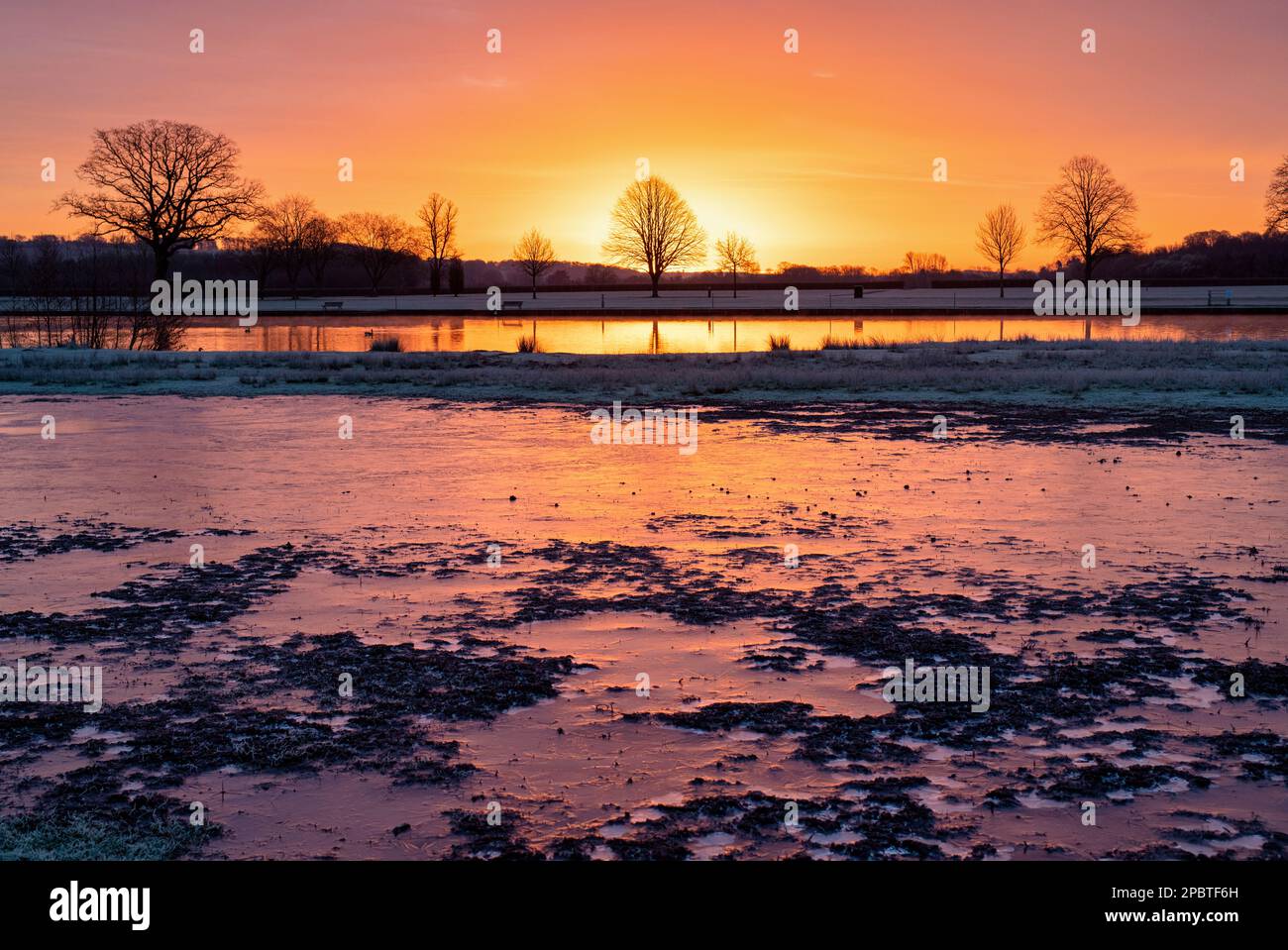 Gefrorenes Hochwasser bei Sonnenaufgang entlang der Themse. Henley on Thames, Oxfordshire, England Stockfoto