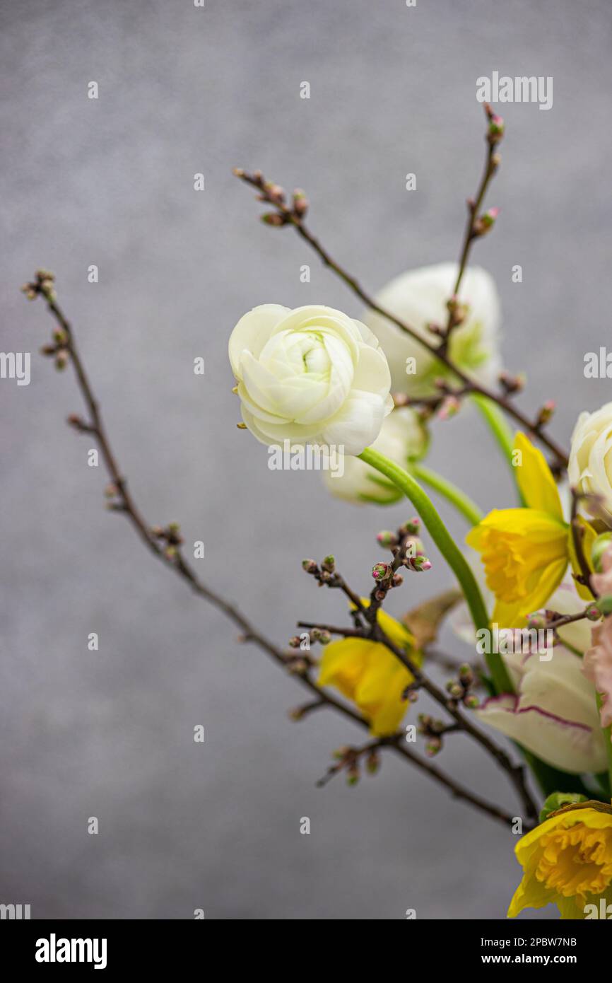Wunderschönes Frühlingsbouquet mit saisonalen Blumen Stockfoto