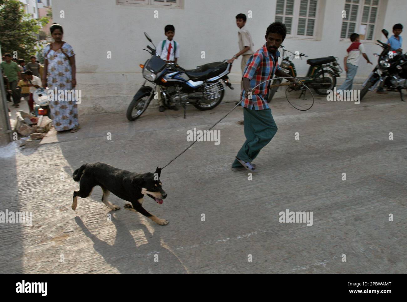 A municipal worker catches a stray dog as residents look on in Bangalore, India, Monday, March 5, 2007. Municipal authorities have deployed thirty 'dog-catching' vehicles, each with three dog catchers, a policeman and a health-inspector to round up stray canines in thirty zones of India's southern city of Bangalore after a four-year old boy was mauled to death by stray dogs last week. It is estimated that there are about 70,000 stray dogs in Bangalore. (AP Photo/Aijaz Rahi) Stockfoto