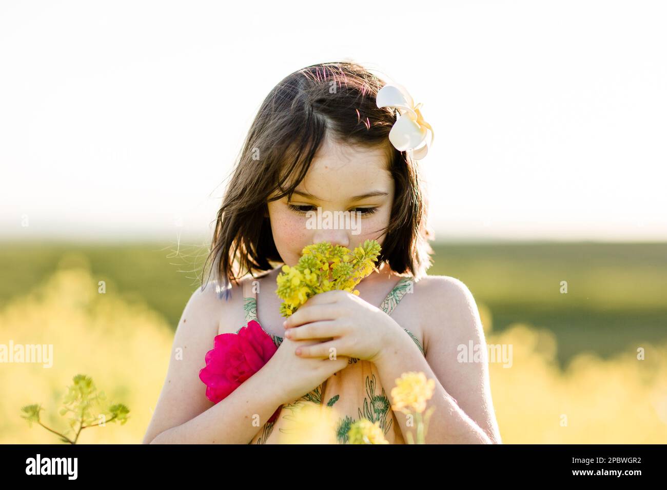 Sieben Jahre altes Kind, das Wildblumen im Feld in San Diego riecht Stockfoto