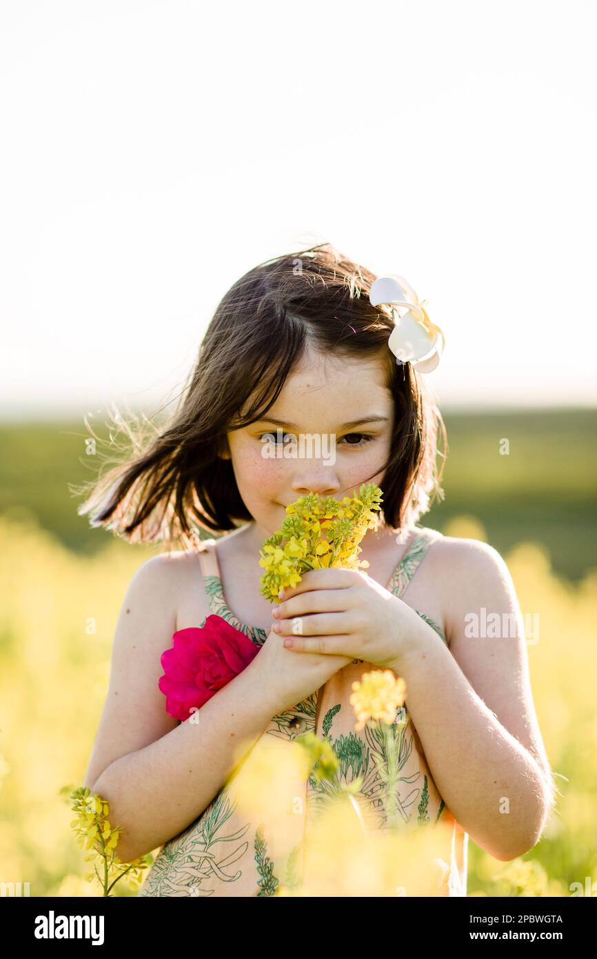 Nahaufnahme von sieben Jahre alten, duftenden Blumen in Field in San Diego Stockfoto