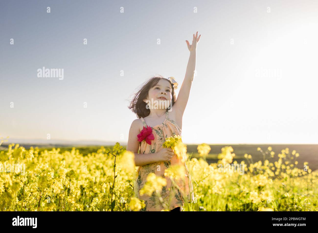 7-jähriges Mädchen in Flower Field in San Diego Stockfoto