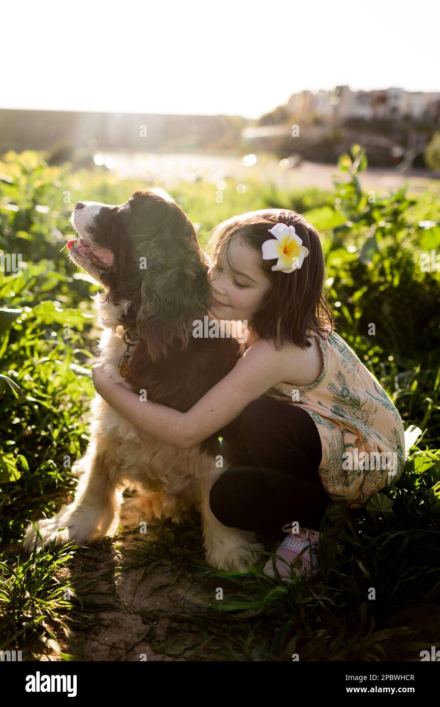 Sieben Jahre alter Hugging Dog im Flower Field in San Diego Stockfoto