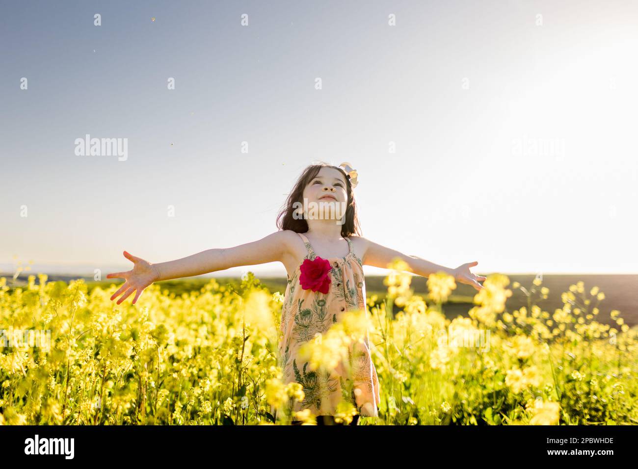 7-jähriges Mädchen, die Arme sind ausgestreckt in Flower Field in San Diego Stockfoto