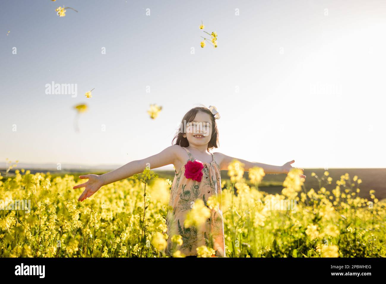 7-jähriges Mädchen, die Arme sind ausgestreckt in Flower Field in San Diego Stockfoto