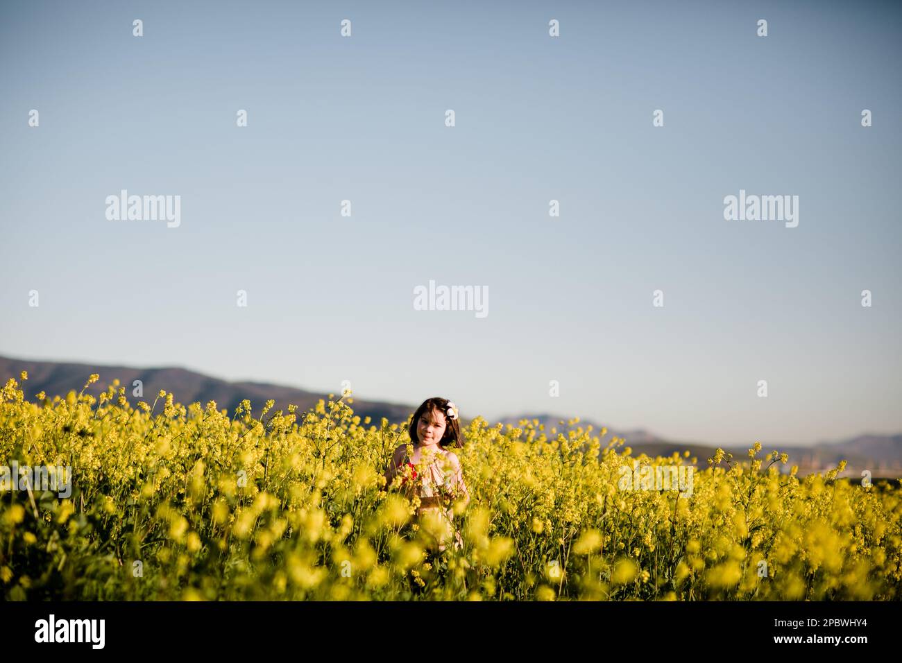 Siebenjähriges Mädchen pflückt Wildblumen in San Diego Stockfoto
