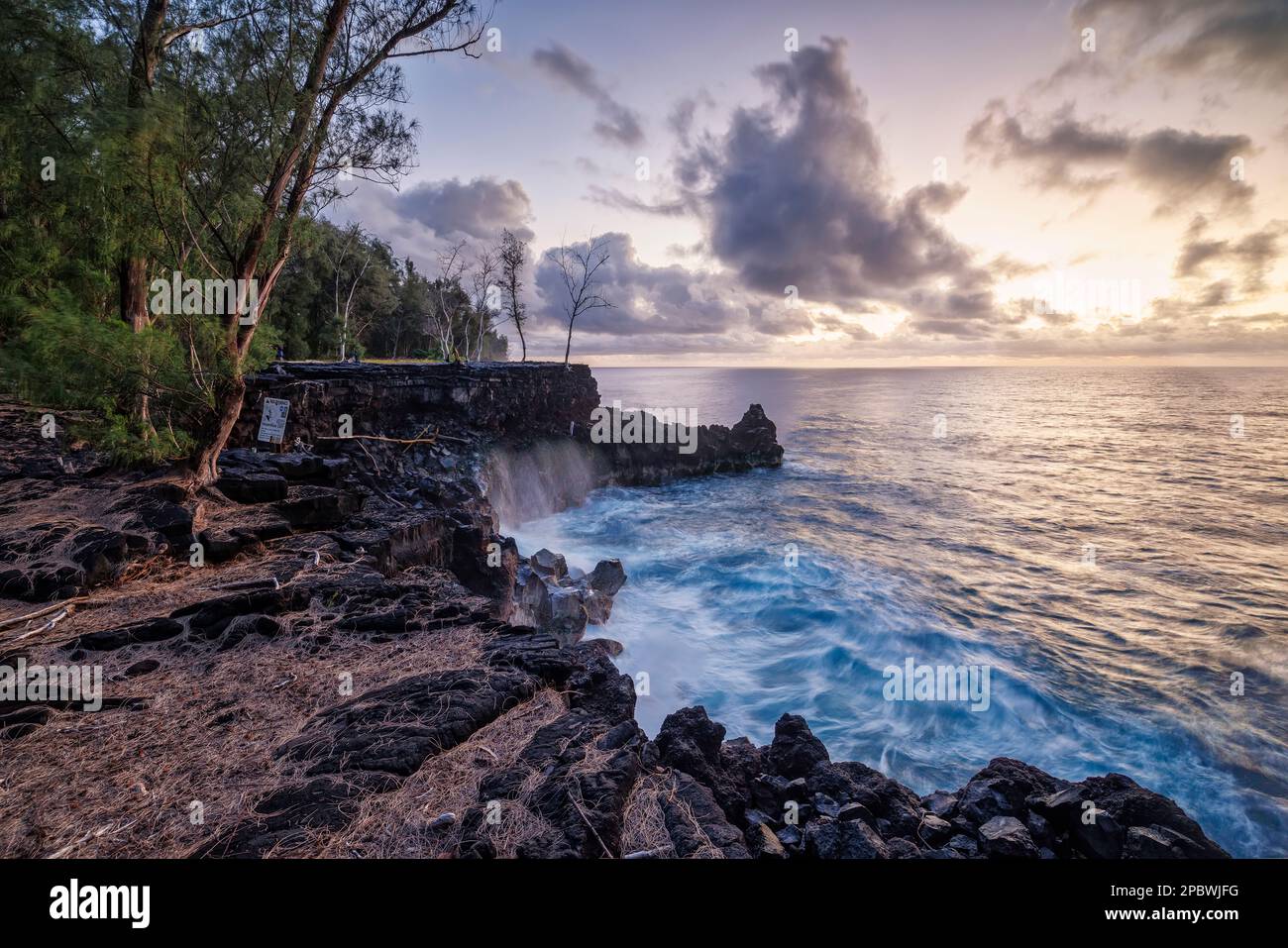 Küste, Lava und Vegetation auf der großen Insel hawaii Stockfoto