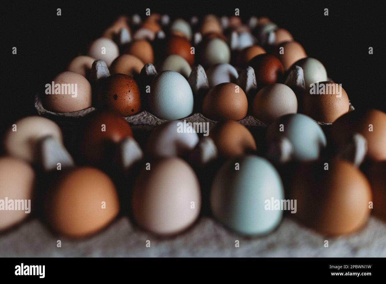 Farbenfrohe Reihen frischer Eier vom Bauernhof Stockfoto