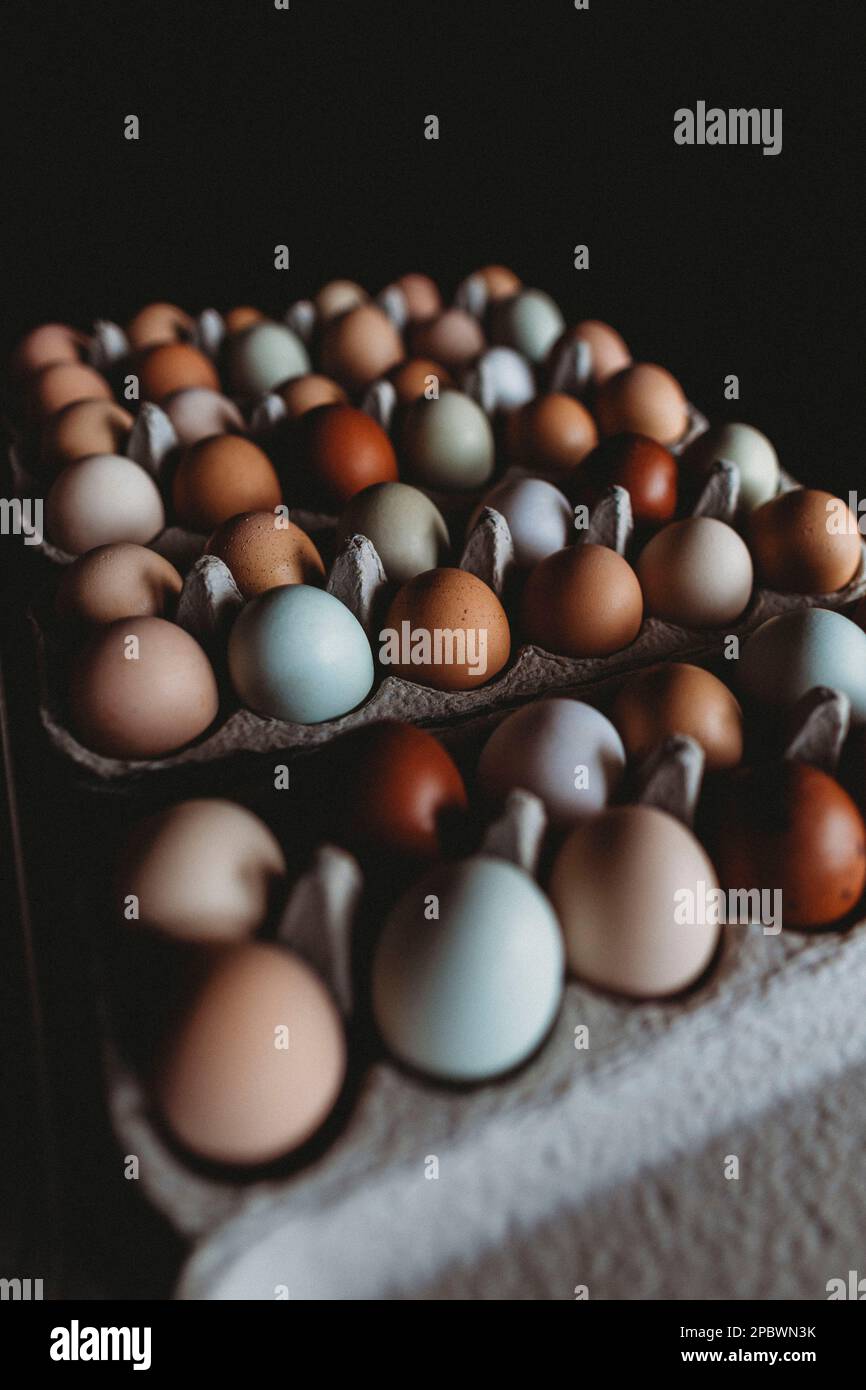Reihen farbenfroher, frischer Eier vom Bauernhof Stockfoto