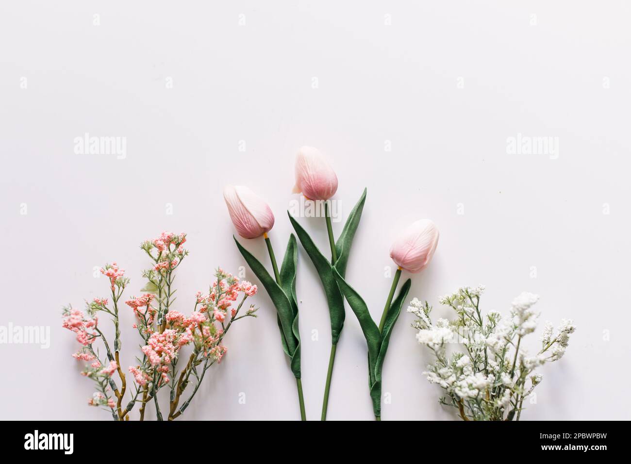 Eine Auswahl an Frühlingsblumen mit Weiß-, Rosa- und Grüntönen Stockfoto