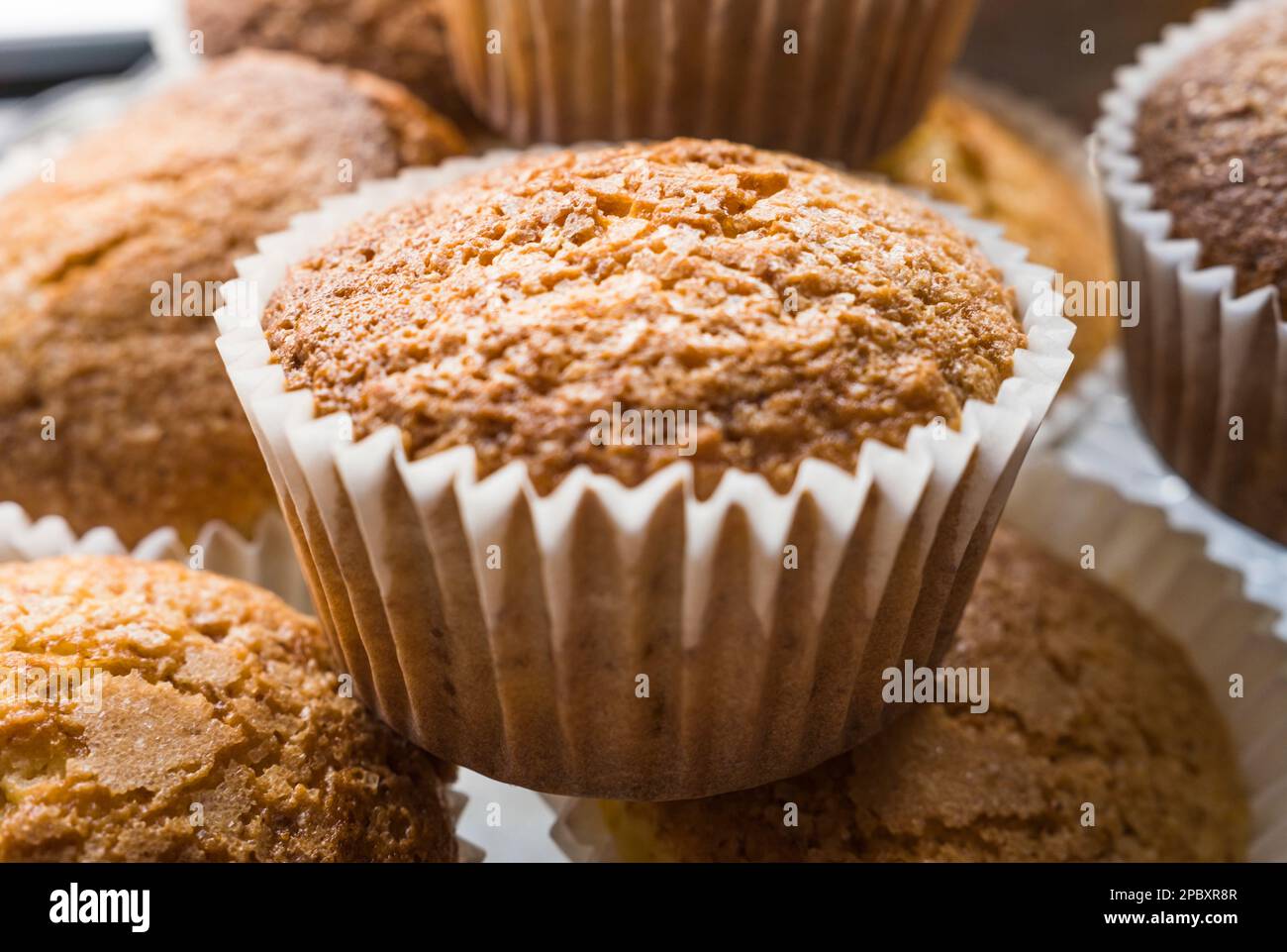 Blick auf eine Gruppe frisch gebackener Cupcakes mit geringer Feldtiefe. Stockfoto