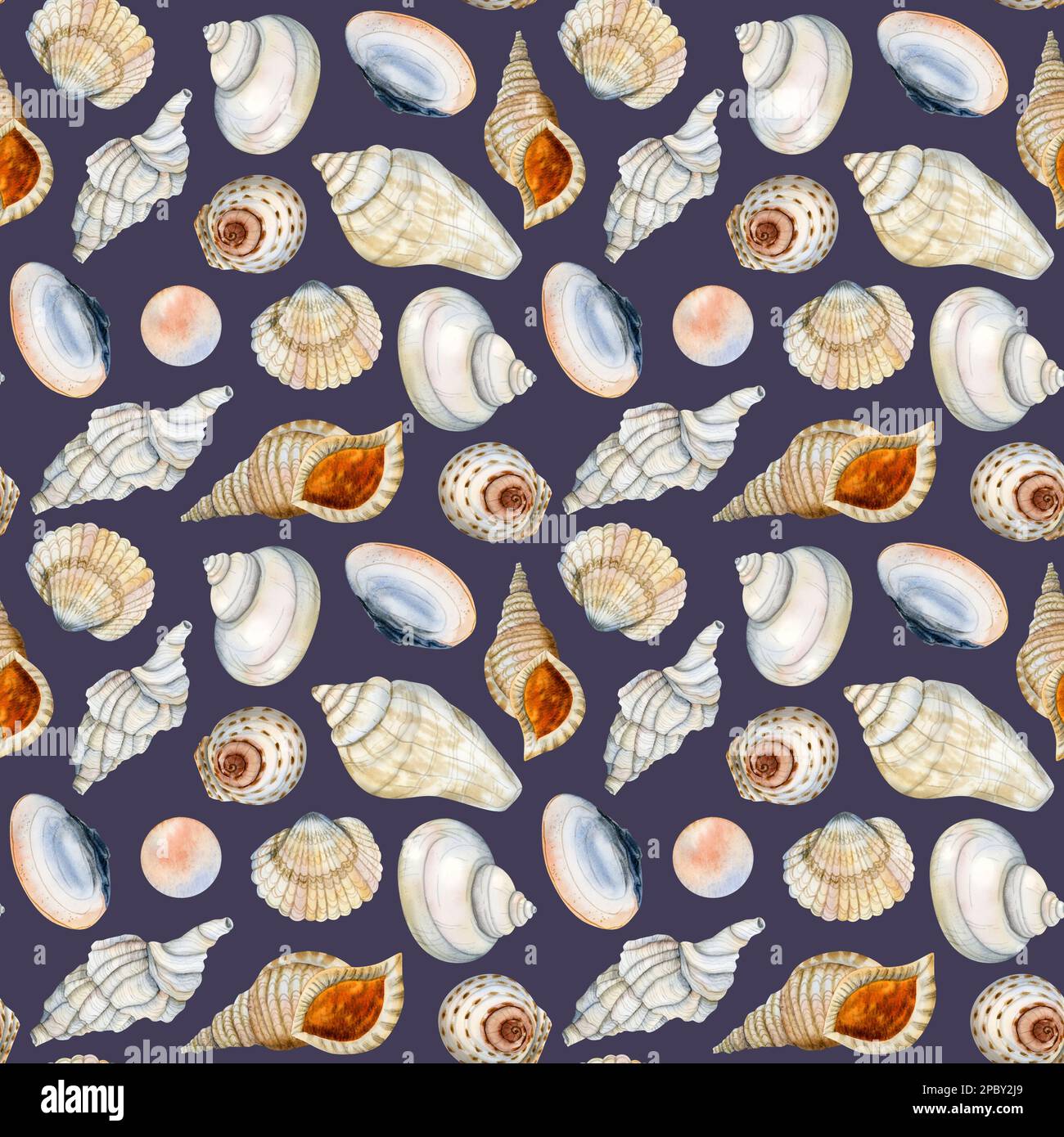 Dunkelblaue wasserfarbene Muscheln Nahtloses Muster für Stoff, Textildesign, Abdeckungen, Geschenkpapier in Beige-Orange Stockfoto