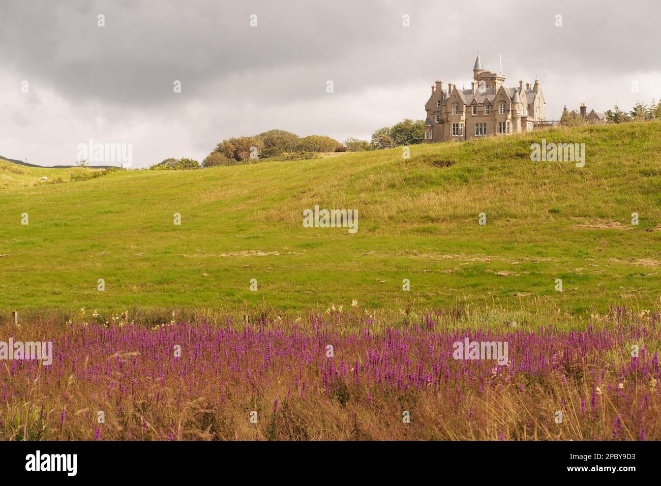 Von den Wildblumenwiesen, die an einem Sommertag in der Nähe von Mull, Schottland, zu Glengorm Castle aufblickten. UK Stockfoto