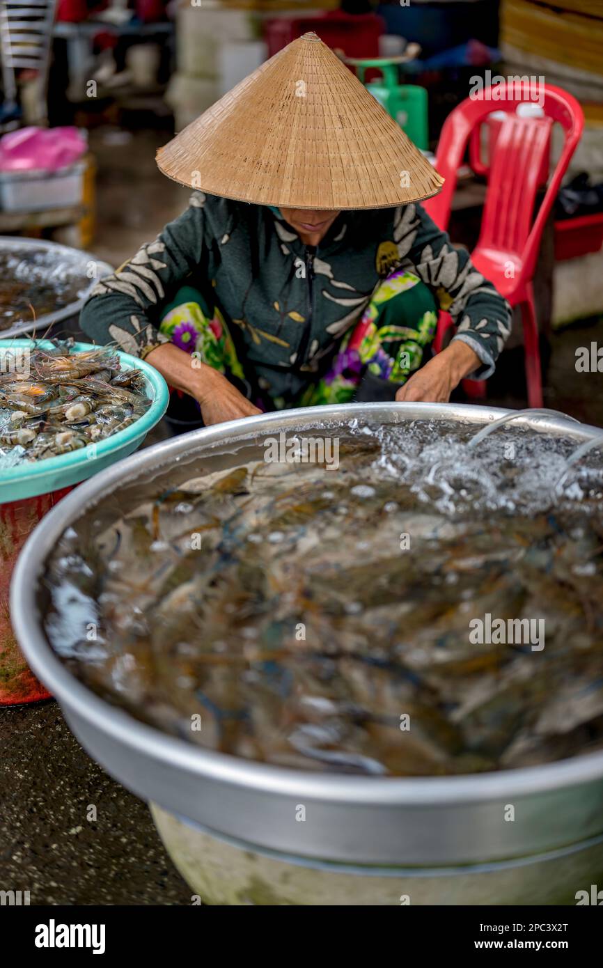 Sa Dec Lokaler Markt, Sa Dec, Vietnam Stockfoto