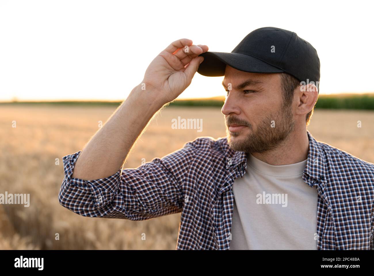 Bärtiger Bauer in einer Mütze und einem karierten Hemd vor dem Hintergrund eines Feldes Stockfoto