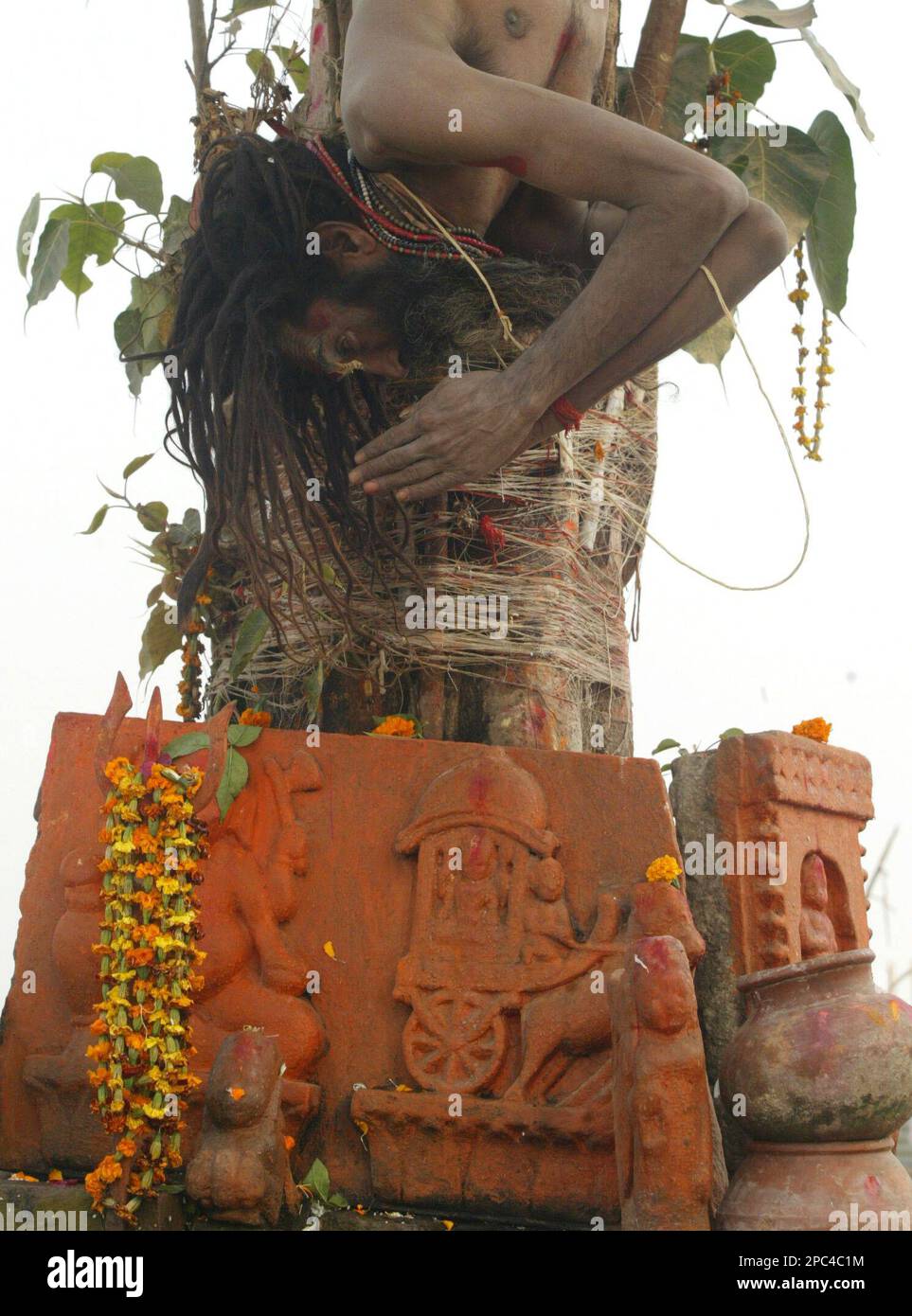 An Indian sadhu or Hindu holy man prays as he hangs upside down on the