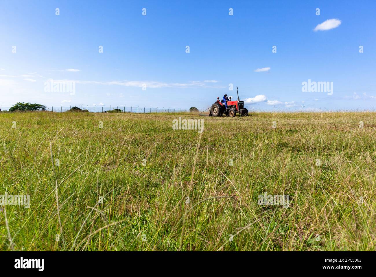 Unidentifizierter Traktorfahrer und mechanischer Messerschneider, der Gras auf dem Land mäht Stockfoto
