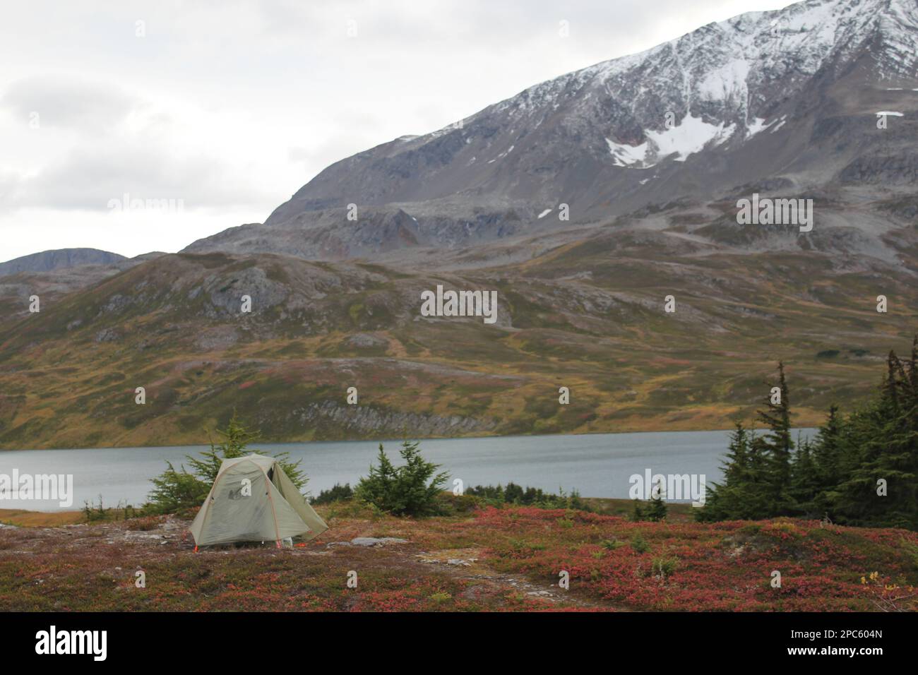 Alleinreisen in alaska. Ein Zelt für einen. Wildnis. Wandern. Stockfoto