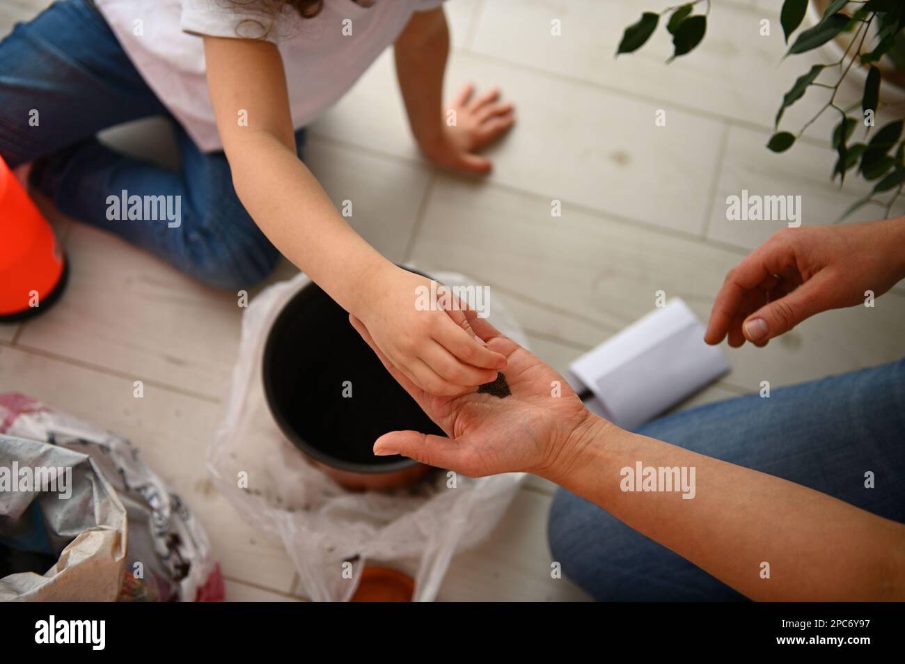 Nahaufnahme der Kinderhand über der Hand der mutter, die die Samen hält, bevor sie in Topfboden sät Stockfoto