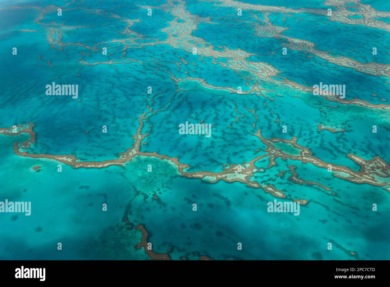 Great Barrier Reef, Queensland, Australien Stockfoto