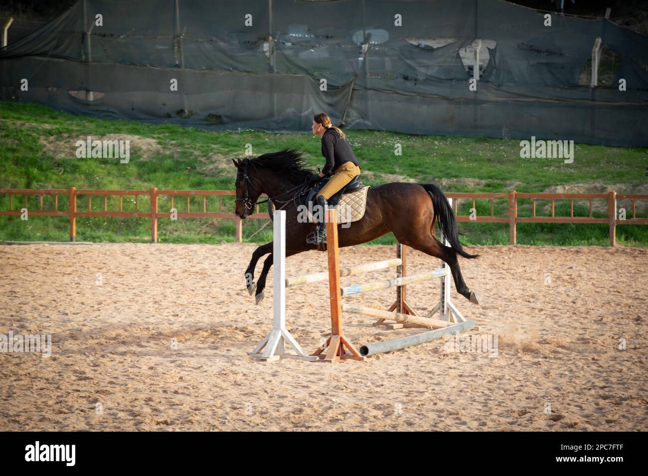 Der Nervenkitzel des Pferdesports: Frau und Pferd springen in perfekter Synchronisierung. The 