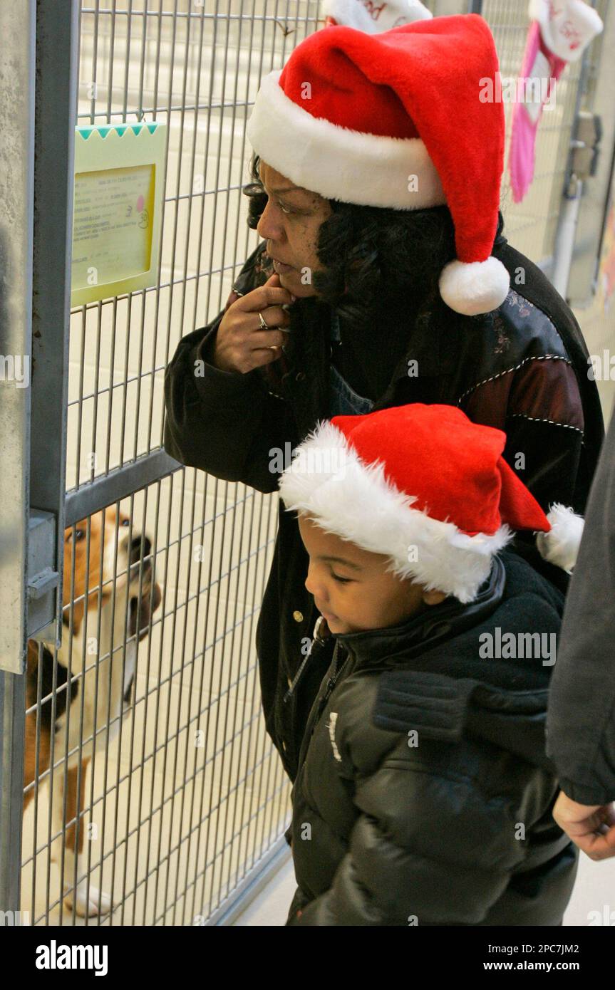 Shon Green, 4, and his grandmother, Bobbie Allen, shop for a dog at the