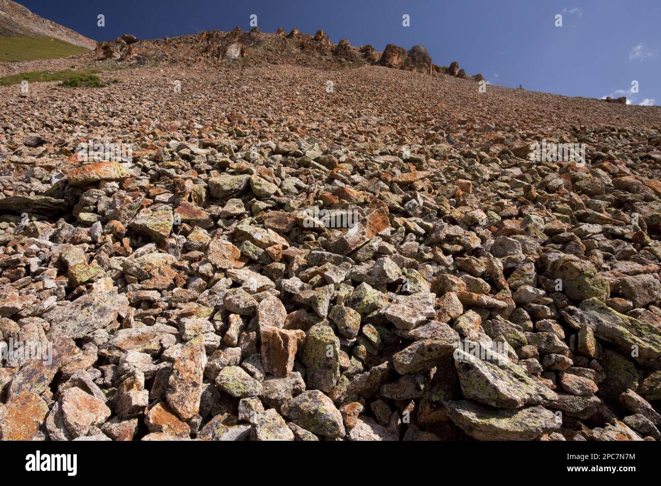 Großer Berghang, ca. 11 m, 000 Fuß Bullion Lake, Porphyry Area, San Juan Mountains, Colorado (U.) S.A. Stockfoto