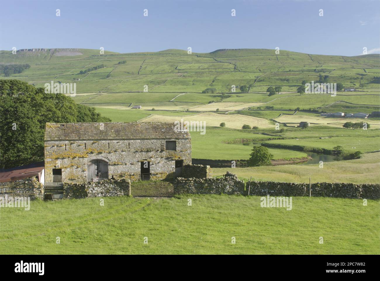 Blick auf Steinscheune, trockene Steinmauern und Weide auf Talboden, River Ure, Burtersett, Wensleydale, Yorkshire Dales N. P. North Yorkshire, England Stockfoto