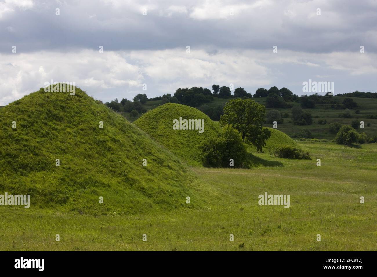 „Tumps“, Hügel in artenreichem Grasland, Apold, Siebenbürgen, Rumänien Stockfoto