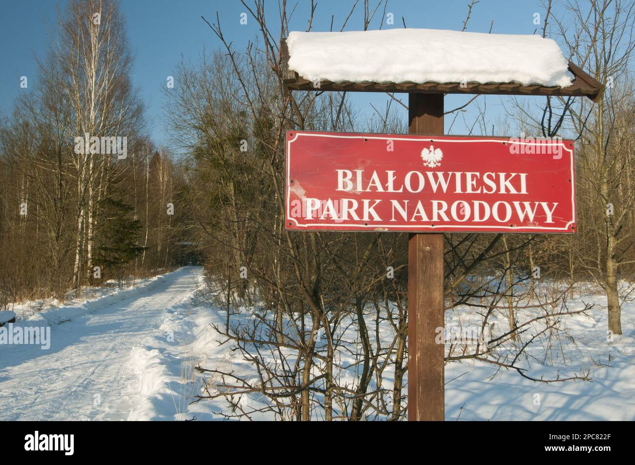 „Bialowieski Park Narodowy“-Eingangsschild in Schnee, Bialowieza spezielles Schutzgebiet, Bialowieza N. P. Podlaskie Woiwodschaft, Polen Stockfoto