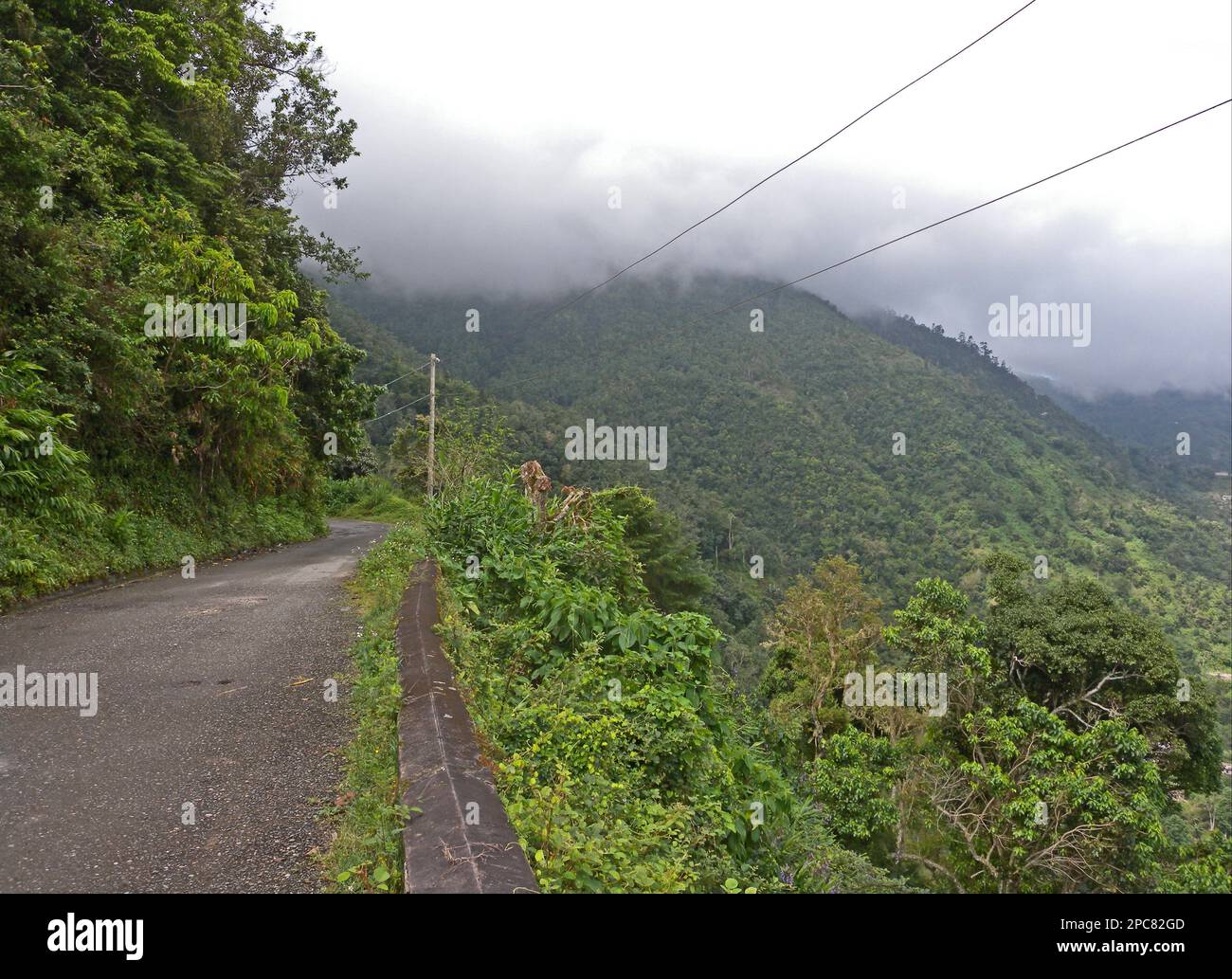 Blick auf die Straße durch den erstklassigen Wald, mit den Regenwolken, die sich den Berg hinunter bewegen, Blue Mountains N. P. Blue Mountains, Jamaika Stockfoto