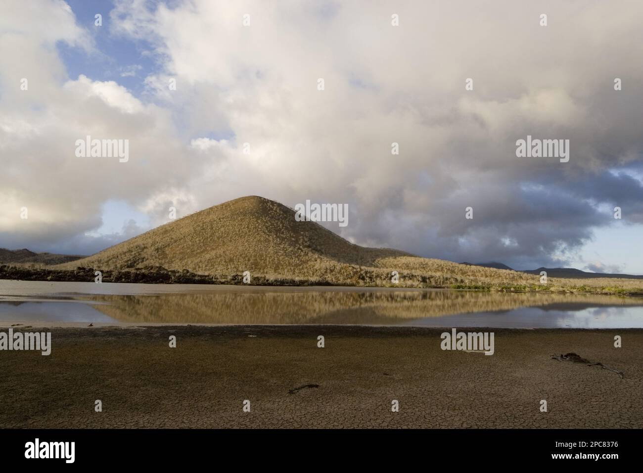Saline Lagoon, Floreana, Punta Cormoran, Galapagos, Schlamm Stockfoto