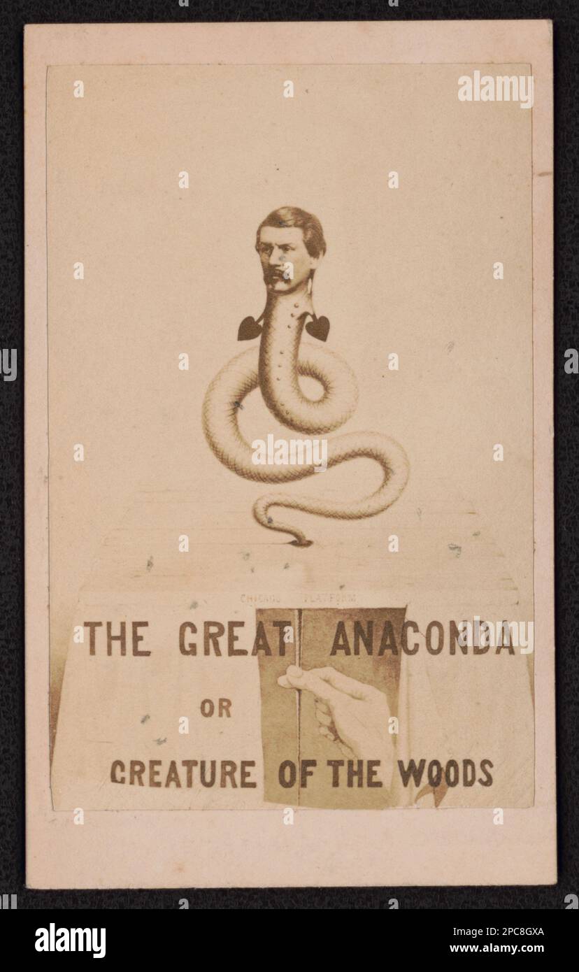 The Great Anaconda oder Creature of the Woods / McAllister & Bro. Optiker, 728 Chestnut St., Philadelphia. Liljenquist Family Sammlung von Bürgerkriegsfotos, pp/liljpaper. McClellan, George B (George Brinton), 1826-1885, Snakes, 1860-1870, Usa, Geschichte, Bürgerkrieg, 1861-1865, Militärpersonal, Union. Stockfoto