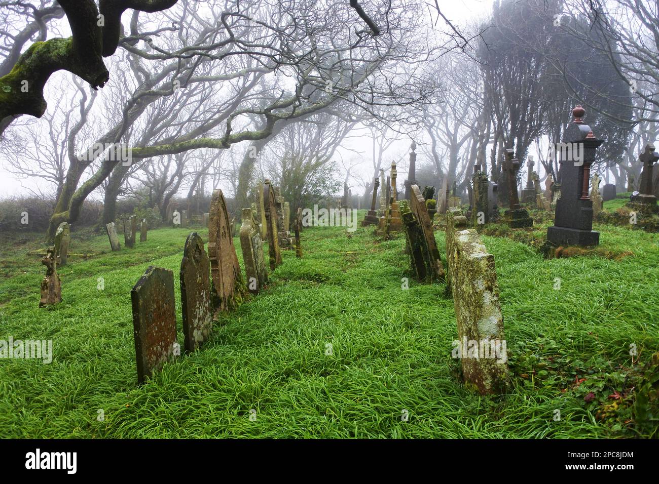 Der Friedhof in St. Dennis Parish Church, Cornwall, Großbritannien - John Gollop Stockfoto