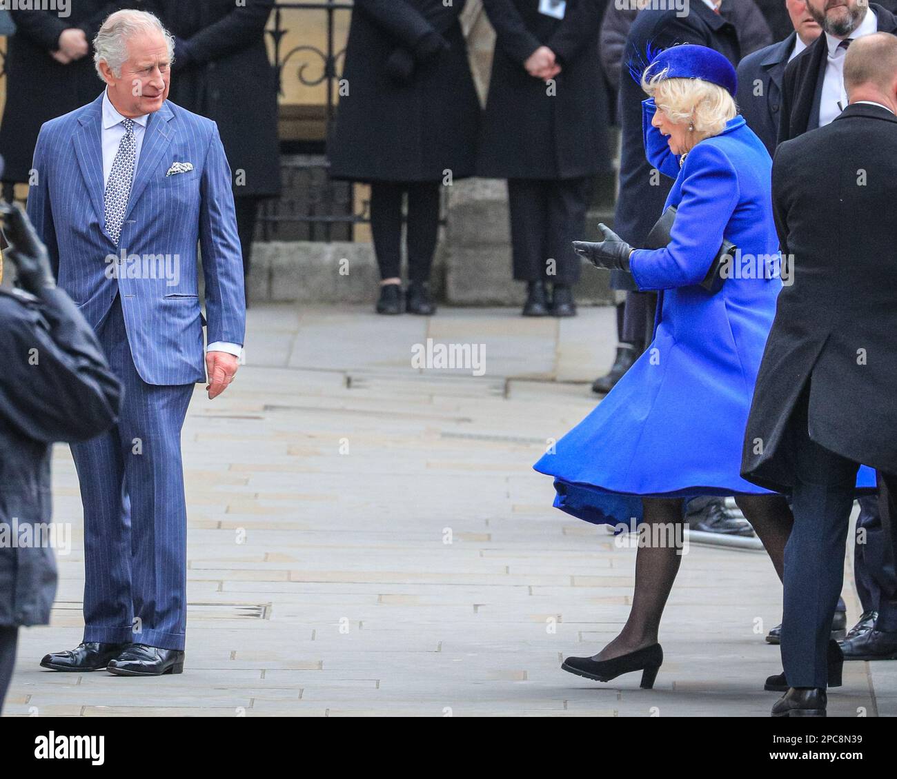 London, Großbritannien. 13. März 2023. Camilla hält sich bei windigem Wetter an ihrem Hut fest. König Charles und Camilla, die königliche Gemahlin. Politiker, Royals und Gäste kommen und gehen vom heutigen Commonwealth Service, der in Westminster Abbey im Zentrum von London stattfindet. Credit: Imageplotter/Alamy Live News Stockfoto