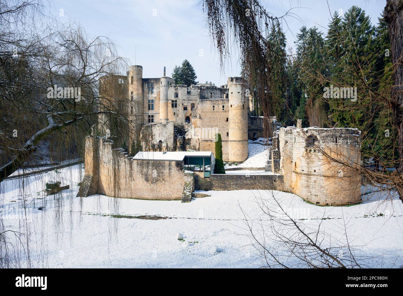 Europa, Luxemburg, Grevenmacher, Beaufort Castle mit Winterschnee Stockfoto