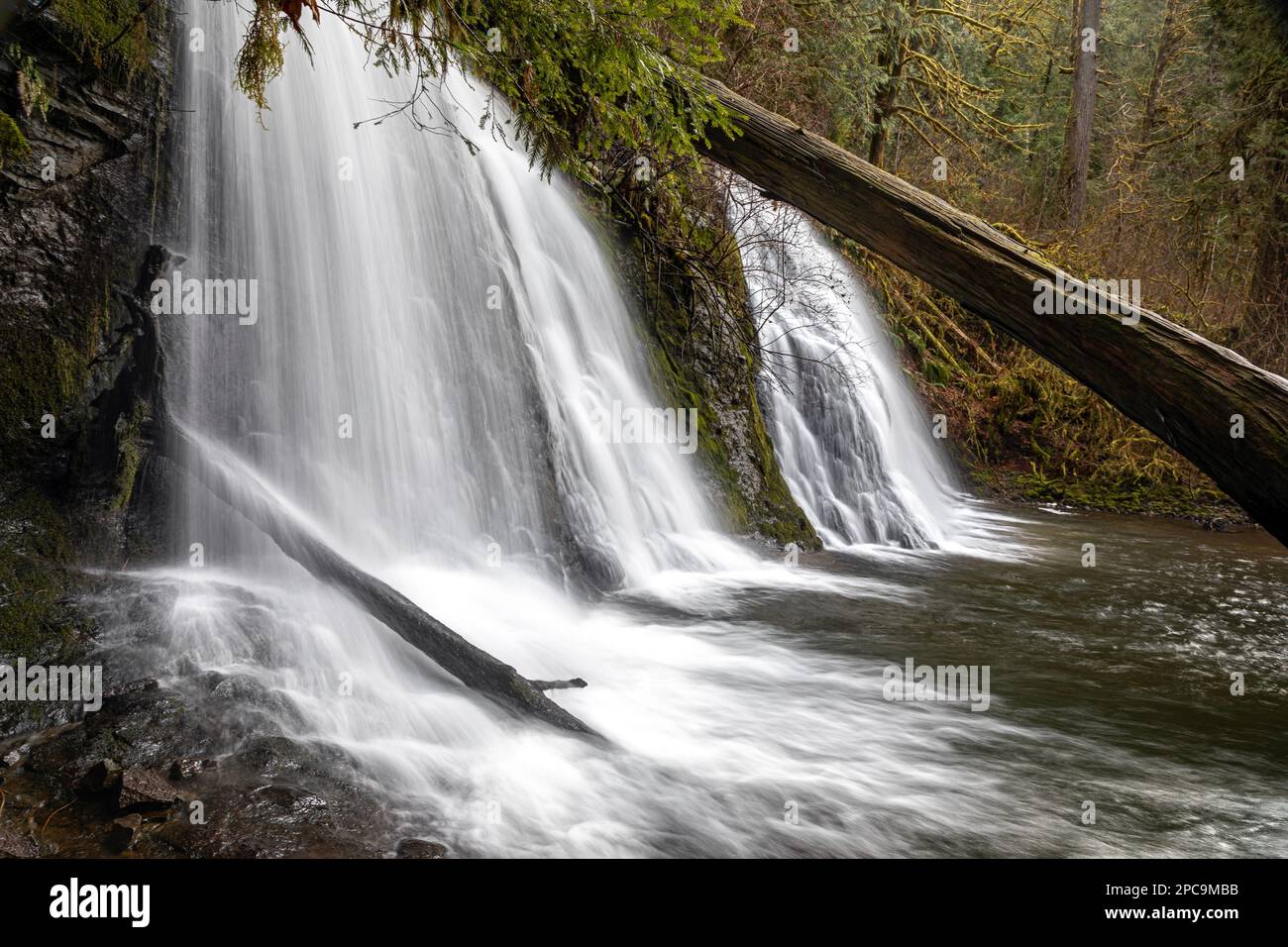 WA23275-00...WASHINGTON - Cherry Creek Falls im Marckworth State Forest, nahe Duvall. Stockfoto