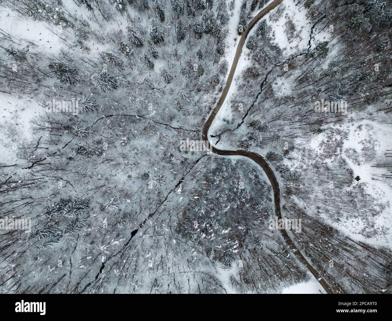 Blick von oben mit einer Drohne einer wunderschönen schneebedeckten Winterlandschaft mit Wald und einer Straße, die sich durchbiegt. Stockfoto