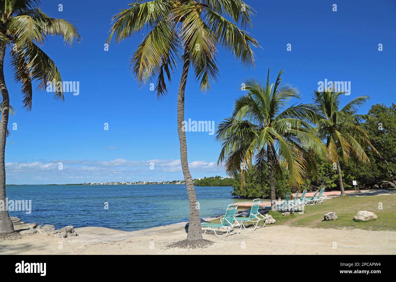 Blick vom Buttonwood Sound - Key Largo, Florida Stockfoto