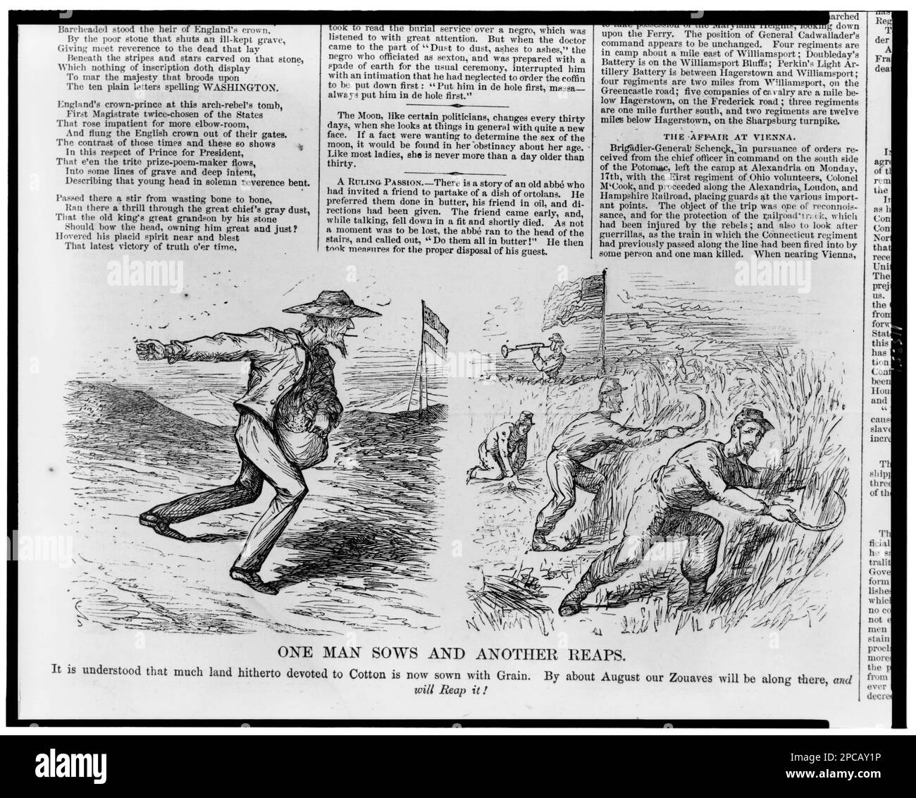 Ein Mann sät und ein anderer erntet. Illus. In: Harper's Weekly, 1861 July 6, S. 419. Landwirtschaft, Südstaaten, 1860-1870, Ernte, Südstaaten, 1860-1870, Usa, Geschichte, Bürgerkrieg, 1861-1865, Wirtschaftliche und industrielle Aspekte. Stockfoto