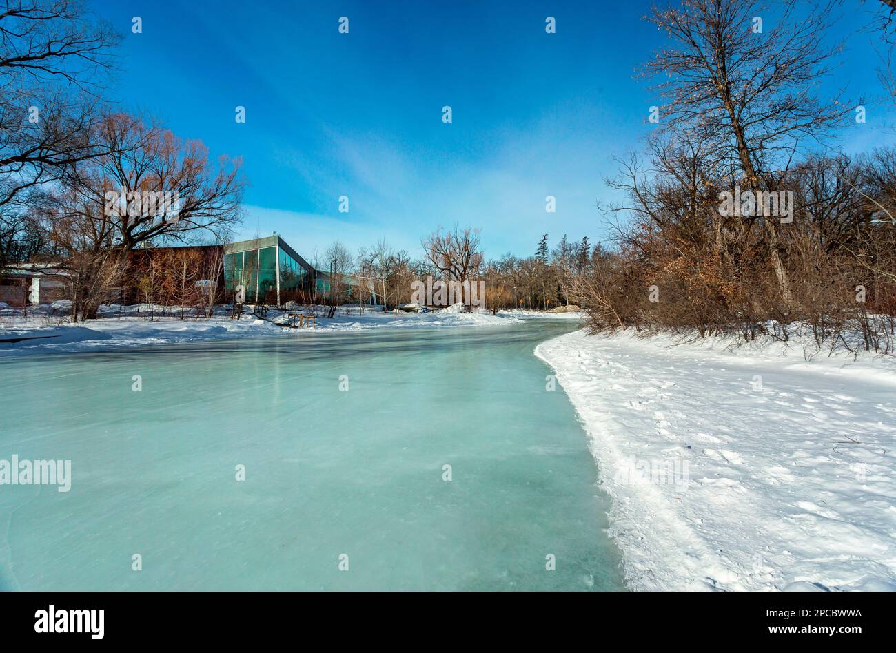Die Duck Pond Ice Rink in Assiniboine Park, Winnipeg, Manitoba. Stockfoto