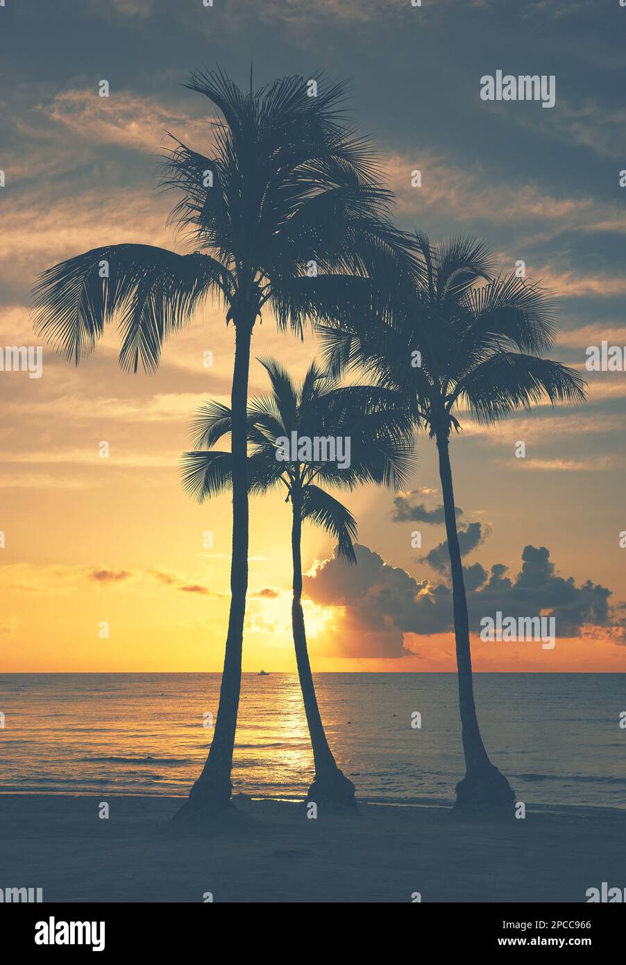 Kokospalmen-Silhouetten an einem tropischen Strand bei Sonnenaufgang, Farbtönung angewendet. Stockfoto