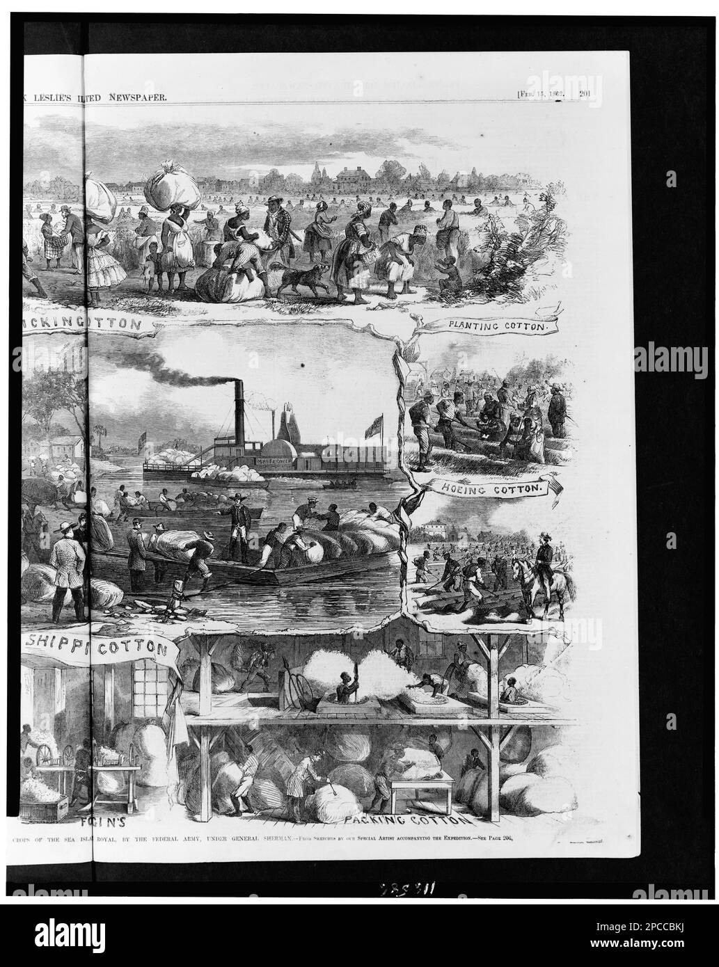 Unsere Baumwollkampagne in South Carolina - Sammeln, Entkörnen, Verpacken und Versenden der Baumwollpflanzen der Sea Islands, Port Royal, durch die Bundesarmee unter General Sherman / auf Skizzen unseres Spezialkünstlers, der die Expedition begleitet... Illus. In: Frank Leslies illustrierte Zeitung, 1862. Februar 15, S. 200-201. Baumwollindustrie, South Carolina, 1860-1870, Afroamerikaner, Beschäftigung, South Carolina, 1860-1870, Cotton Plantations, South Carolina, 1860-1870, USA, Geschichte, Bürgerkrieg, 1861-1865, wirtschaftliche und industrielle Aspekte. Stockfoto