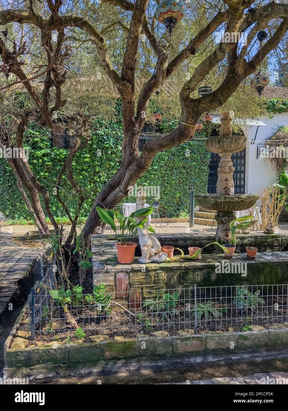 Schöner Garten mit einem Steinbrunnen. Stockfoto