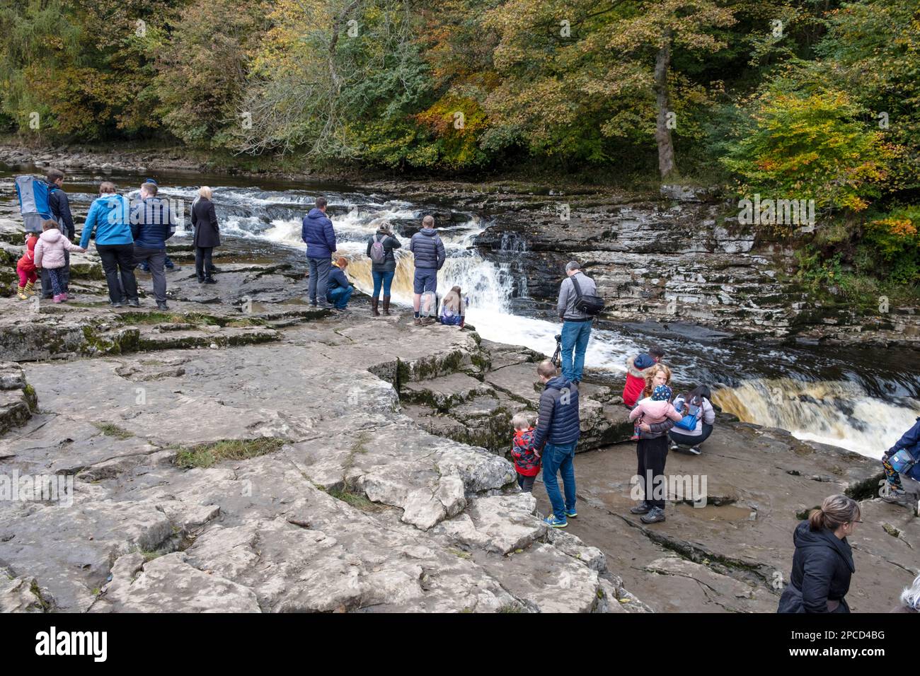 Touristen, die in Stainforth, Yorkshire Dales, auf springenden Lachs warten Stockfoto