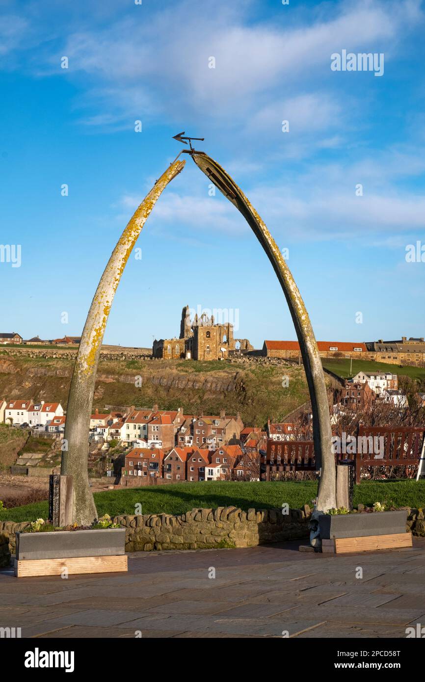Whitby-Walknochen, North Yorkshire Stockfoto