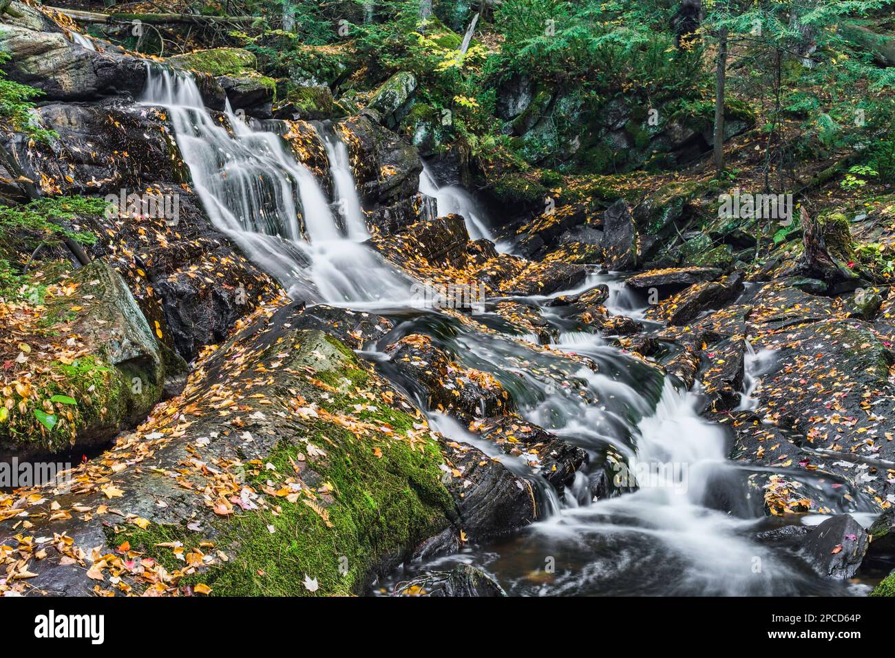 Ein seitlicher Blick auf die wunderschönen Potts Falls in Cottage Country, Ontario, Kanada. Stockfoto