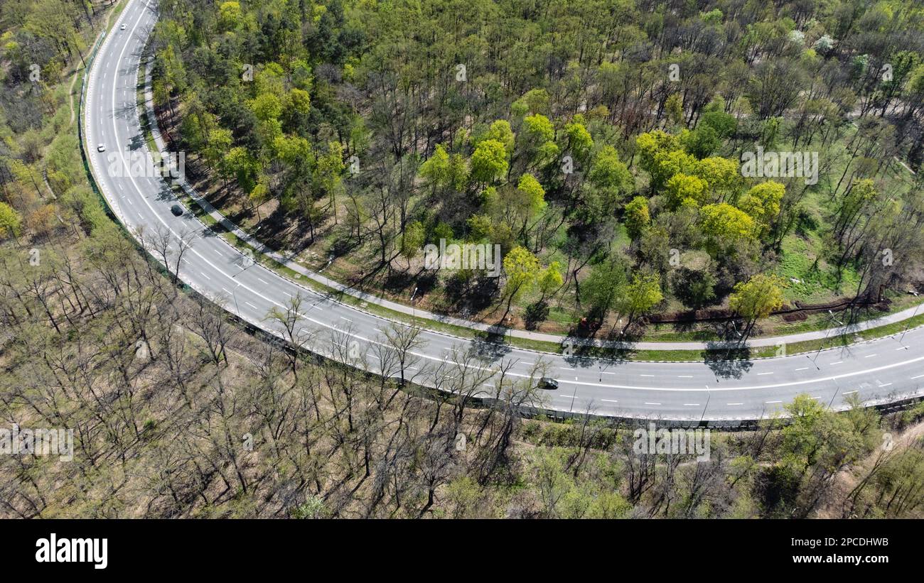 Fliegen Sie über die Frühjahrskurve im Grünen. Autos auf der sonnigen Autobahn, umgeben von Wäldern mit jungen grünen Blättern. Blick von oben nach unten Stockfoto